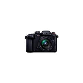 ★Panasonic / パナソニック LUMIX DC-GH5M2M 標準ズームレンズキット【デジタル一眼カメラ】【送料無料】