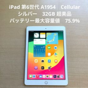 iPad 第6世代 A1954 Cellular シルバー 32GB 超美品