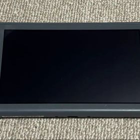 Nintendo Switch Lite グレー 本体 充電器、外箱あり