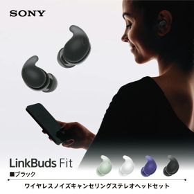 ソニー SONY 完全ワイヤレスイヤホン LinkBuds Fit リンクバッズフィット Bluetooth イヤホン ノイズキャンセリング ワイヤレス カナル型 小さい コンパクト ハイレゾ対応 WF-LS910N BZ ブラック
