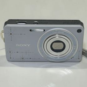 SONY DSC-WX350Dシルバー 14.1メガピクセル
