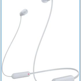 ソニー(SONY) ワイヤレスイヤホン WI-C100す