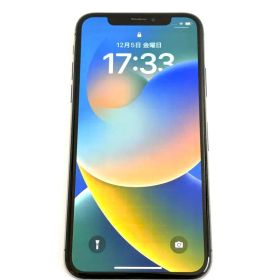 iPhone X 256GB 海外版 シャッター音なし SIMフリー