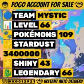 66 レッグ43 色違い