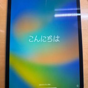 iPad Pro Wi-Fi + Cellular 11インチ 第2世代128G