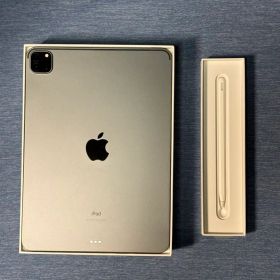 Apple iPad Pro 11 インチ2月10まで値引きします