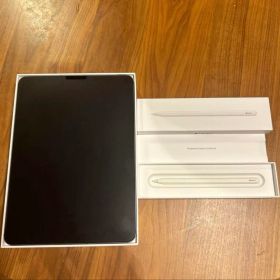 【超美品】iPad Pro 11インチ セルラー 第2世代