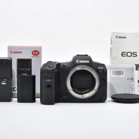 シャッター回数115000回数以下！No.081021■美品■ CANON EOS R5 ボディ