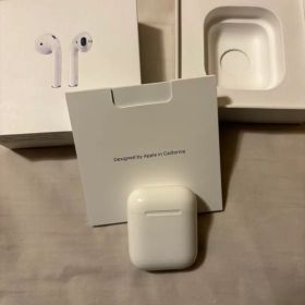 Apple AirPods 第2世代 A2031 A2032 ケースおまけ付き