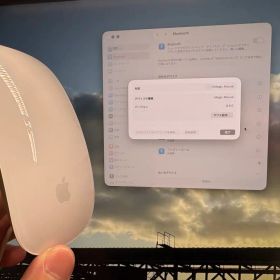 Apple Magic Mouse 2