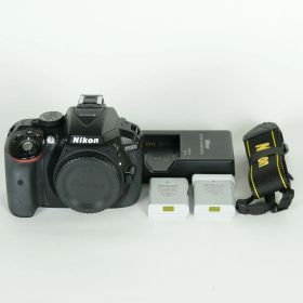 [良品 | シャッター数18,650回｜バッテリー2個付] Nikon D5300 | Nikon Fマウント
