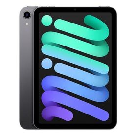 新品未開封 iPad mini 8.3インチ Wi-Fi 128GB 2024年秋モデル MXN63J/A スペースグレイ 8.3インチ 2024年 4549995526486