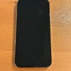 Apple iPhone 13 Pro Gold 本体 無音シャッター