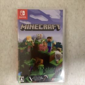 任天堂Switch マインクラフト
