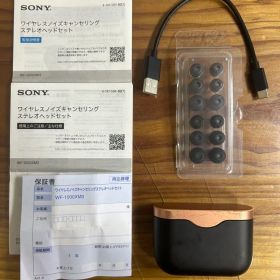 【ワイヤレスイヤホン】SONY：WF-1000XM3