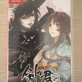 剣が君 for S Nintendo Switch