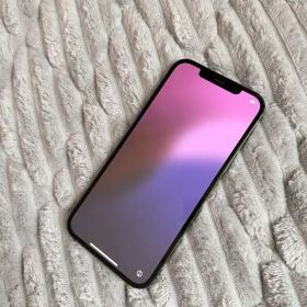 Apple iPhone 12ProMaxグラファイト