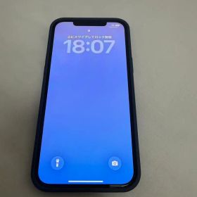 iPhone12 Pro Max 128GB SIMフリー