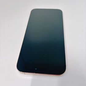 iPhone 16 Pro Max 元デモ機