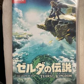 ゼルダの伝説 ティアーズ オブ ザ キングダム