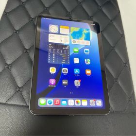 iPad mini (第5世代) 64GB スペースグレー 極美品