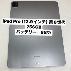 iPad Pro (12.9インチ) 第6世代 256GB FN9Q2