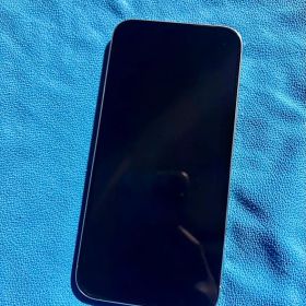 Apple iPhone 15 pro max 本体