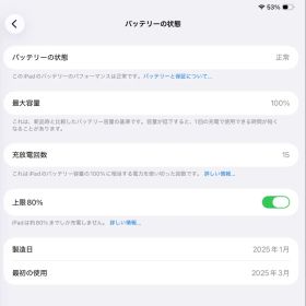 iPad Pro M4 256GB バッテリー最大容量100%