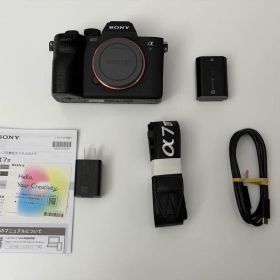 【超美品】SONY α7 IV ILCE-7M4 シャッター637回 ミラーレス