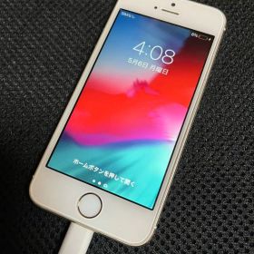 Apple iPhone 5s 16GB docomo 本体