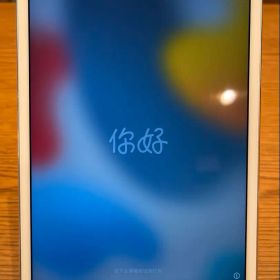 【やや難あり】シルバー iPad mini4 本体128GB