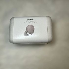 SONY ＷＦ-1000ＸＭ5スモーキーピンク ワイヤレスイヤホン