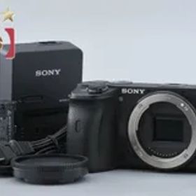 SONY ソニー 【中古】SONY ソニー α6600 ILCE-6600 ミラーレス一眼カメラ 海外版 ミラーレスカメラ