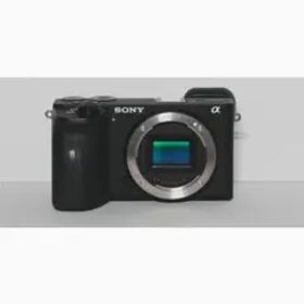 【美品】SONY α6600 ilce-a6600 ボディ 本体