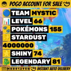 74 色違い 81レッグ