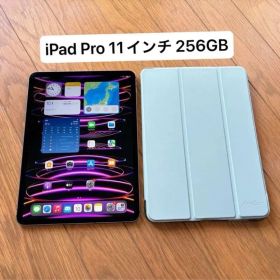 iPad Pro 11インチ 256GB Cellular +Wi-Fiモデル