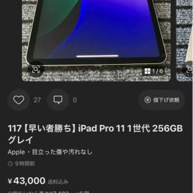 iPad Pro 11 1世代 256GB スペースグレー