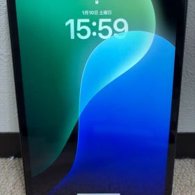 【美品】iPad Pro 11 M1 256GB セルラー SIMフリー