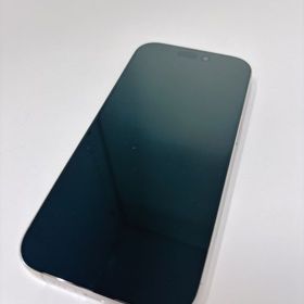 iPhone 16 Pro 元デモ機