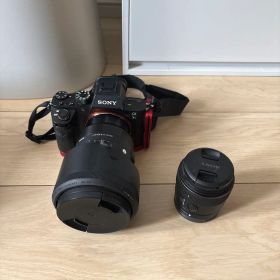 α7RⅡ sigma50mm F 1.4