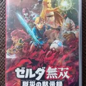 ゼルダ無双 厄災の黙示録