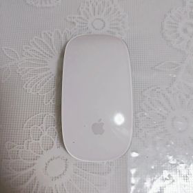 Apple magic mouse 2 充電タイプ純正