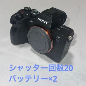 【α7S III】SONY デジタル一眼カメラ（ILCE-7SM3）α7siii