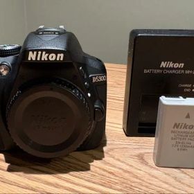 Nikon D5300 デジタル一眼レフカメラ+付属品 ショット数1793