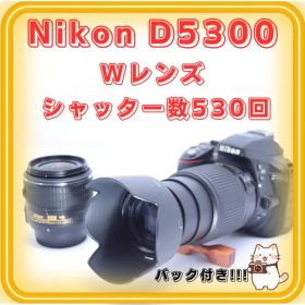 Nikon D5300 一眼レフカメラ シャッタ数約500回 おまけ多数