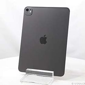 iPad Pro 11インチ(M5) 標準ガラス 256GB スペースブラック MDWK4J／A Wi-Fi ［11インチ有機EL／Apple M5 9コアCPU10コアGPU］