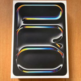 iPad Pro 11インチ M4 Wifi 256GB Silver