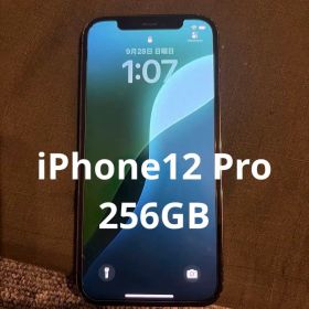 Apple iPhone 12 Pro グラファイト 本体 256GB