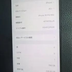 海外版iPhone 16 Pro Max 256GB,美品,バッテリーは100％