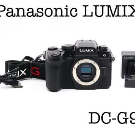 ■完動品 Panasonic LUMIX DC-G99 ショット数132